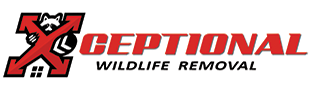 xceptional wildife removal logo