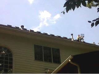 Squirrels in attic side vents - SIA Wildlife Control Inc.