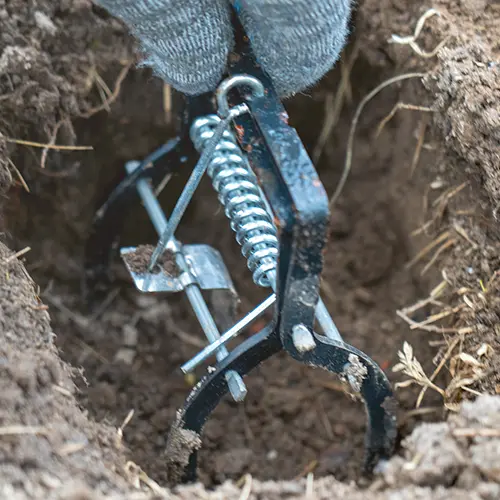 Person setting a trap in a dirt hole